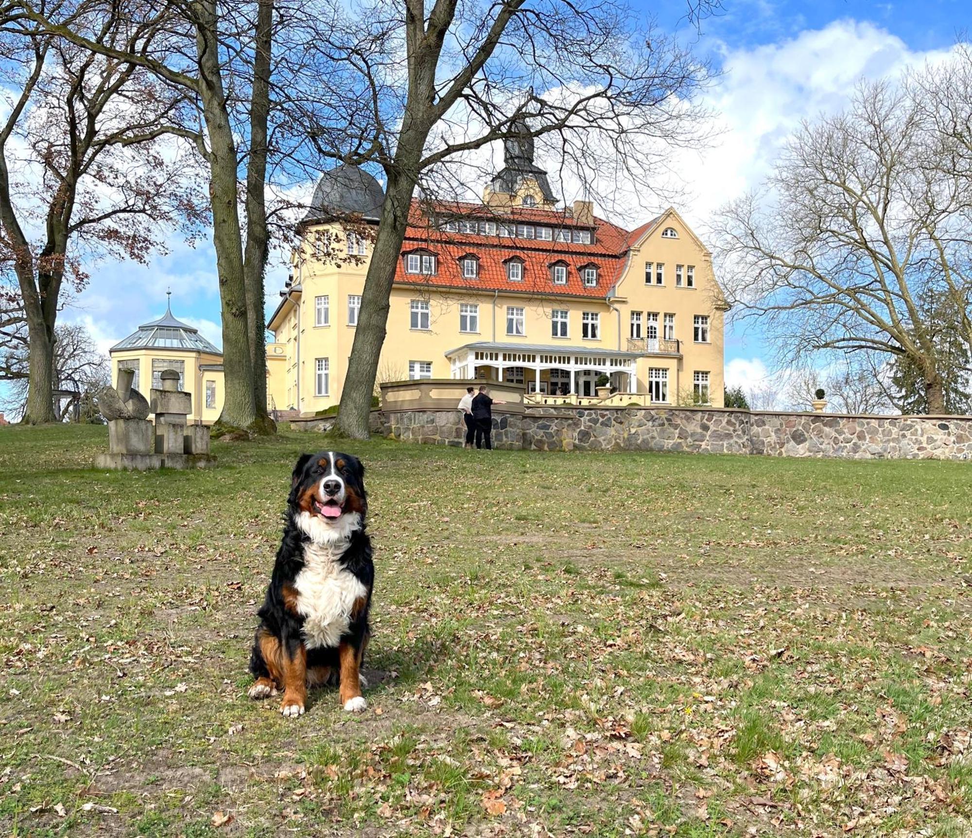 Bernsteinschloss Wendorf  Bagian luar foto